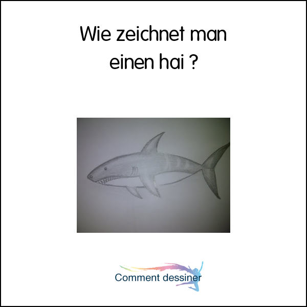 Wie zeichnet man einen hai